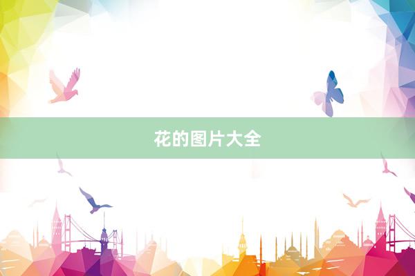 花的图片大全
